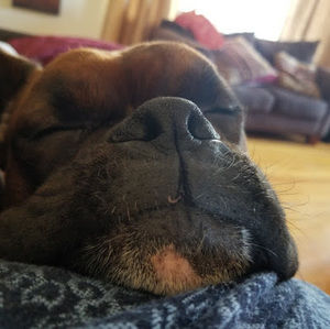 Meet your Posher, Wonder